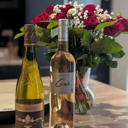 Willa La Prestigieuse Sauna Balneo Cine Roannes-Saint-Mary